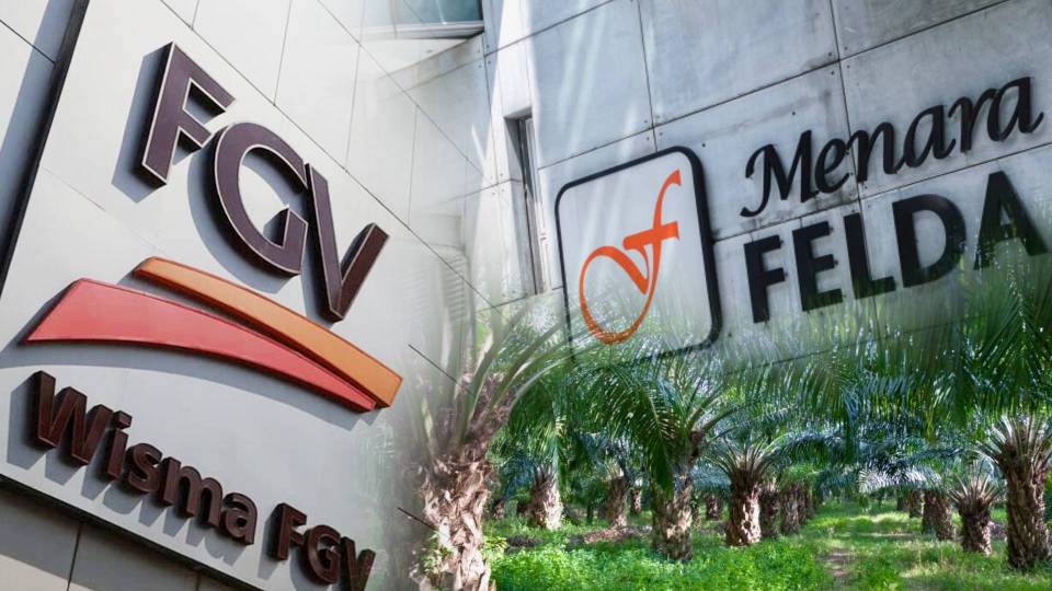 Felda, FGV kembali beroperasi secara normal