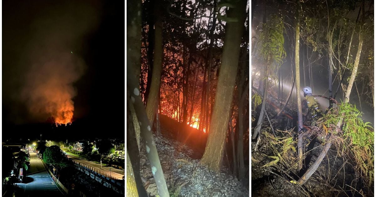 Forest fire breaks out in Taman Sri Gombak