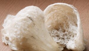 Industri sarang burung walet negara dianggar bernilai RM1.5 bilion