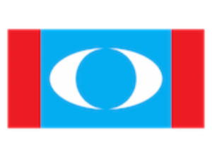 Kecewa dengan sikap Ketua Cabang, ahli PKR Lubok Gong sertai UMNO