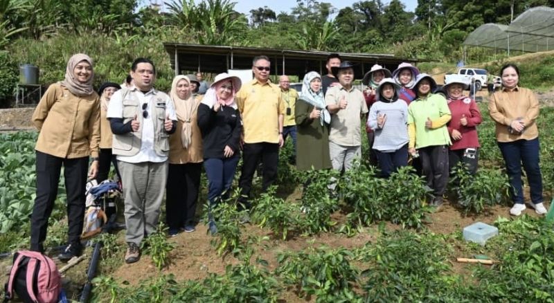 Ladang sayur-sayuran Bukit Layang-Layang model pertanian berimpak tinggi