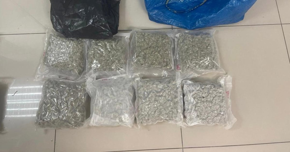 Man held in Rantau Panjang over possession of cannabis buds