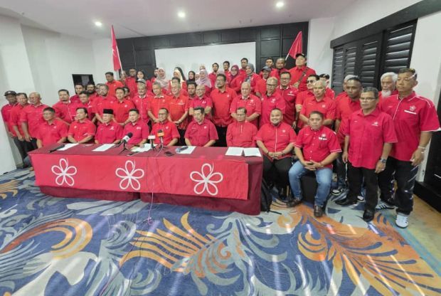 Muhyiddin should step down, says Bersatu supreme council member