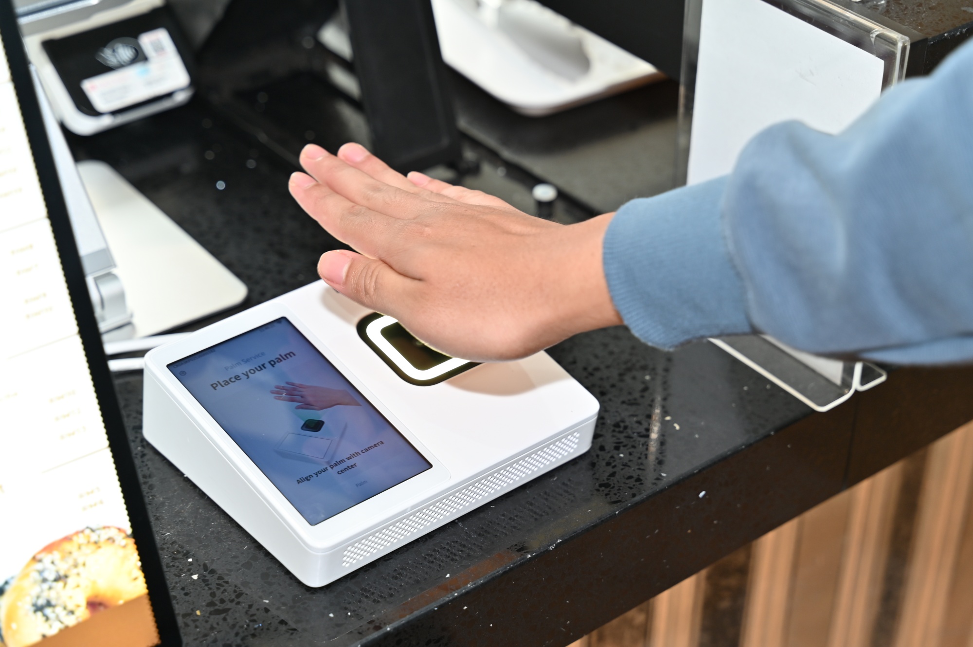 opensys palmwav pilot