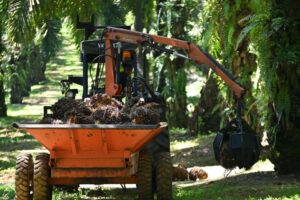 Operasi ladang Felda, FGV di Terengganu diteruskan seperti biasa