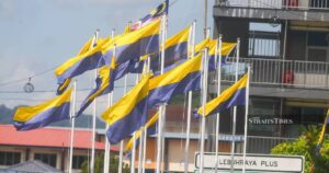 Polls must be held for 3 Perlis seats as vacancy affects ruling party's majority, says professor