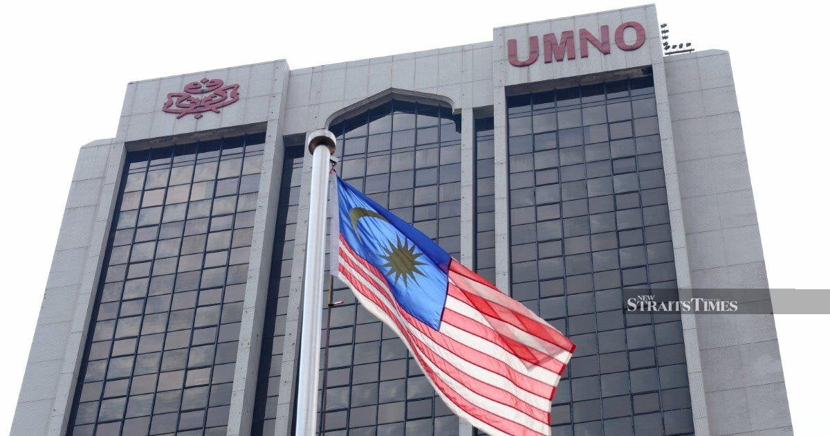 Puchong Umno severs ties with PH over Yeo Bee Yin's remarks on Najib
