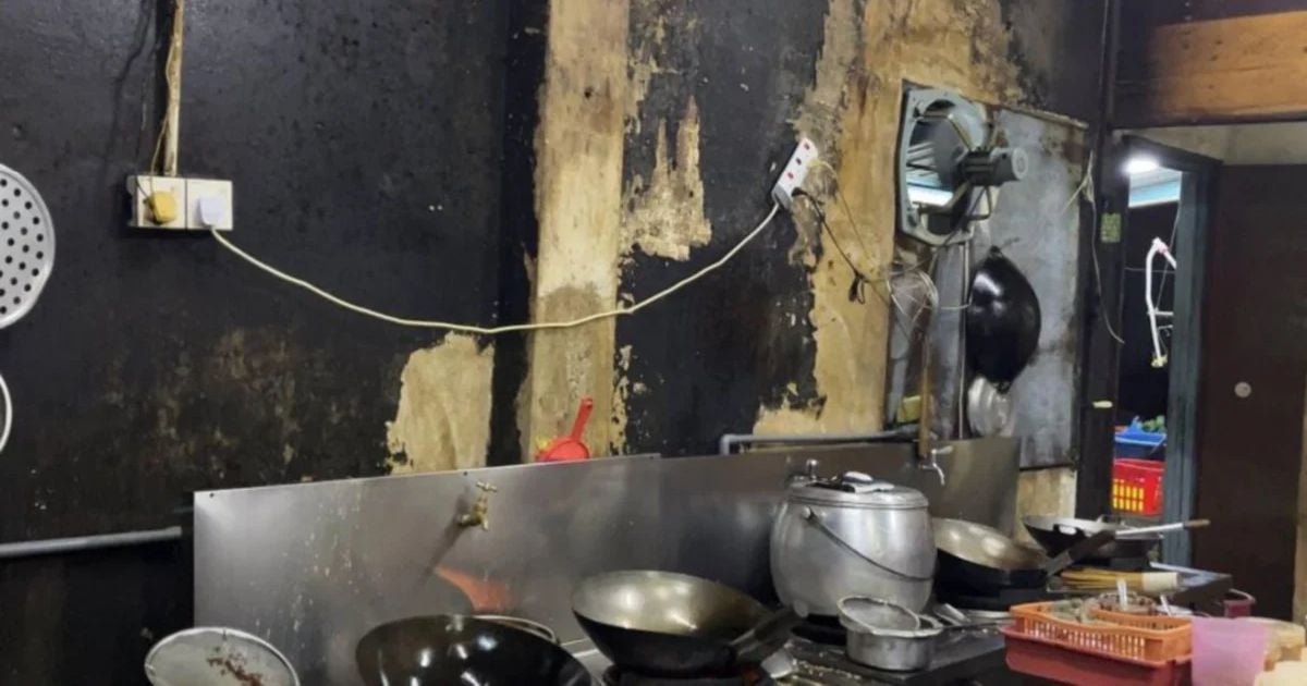 Rats and cockroaches force closure of two eateries in Bukit Sentosa