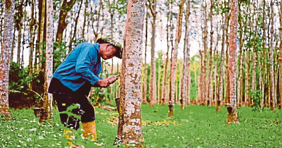 Rubber market ends higher despite mixed signals from regional futures