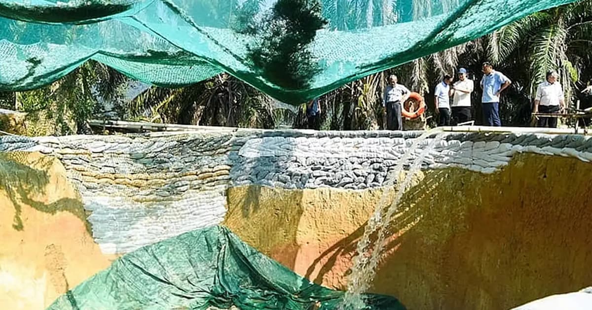 Think tank outlines way forward for rare earths in new policy brief