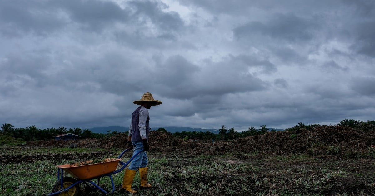 Thunderstorms, heavy rain expected to extend in several states until 7 pm