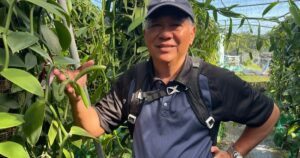 ‘Accidental’ vanilla farmer keeps Christmas spirit alive all year