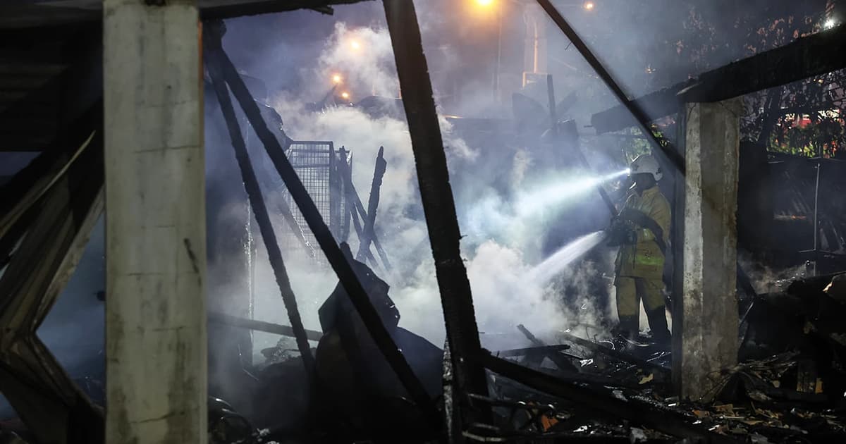 70 cats, 5 dogs killed with woman in Kota Bharu blaze