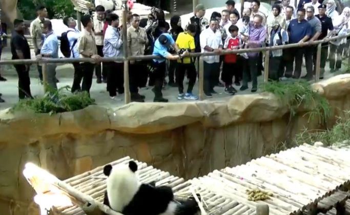 Anwar arrives at Zoo Negara to see new giant panda pair
