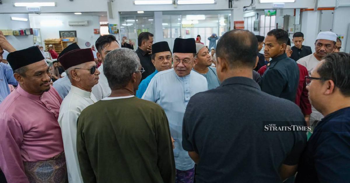 Anwar to suggest scrapping Bukit Tagar pig farming project
