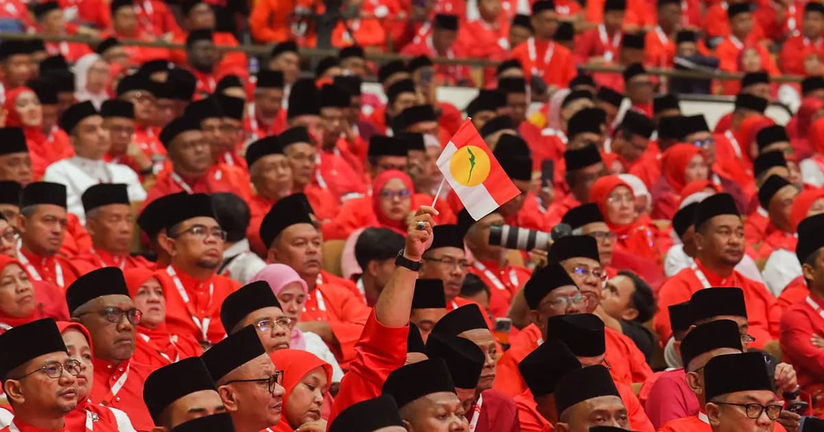 DAP kept in check so why harp on ‘UmDAP’, says Umno delegate
