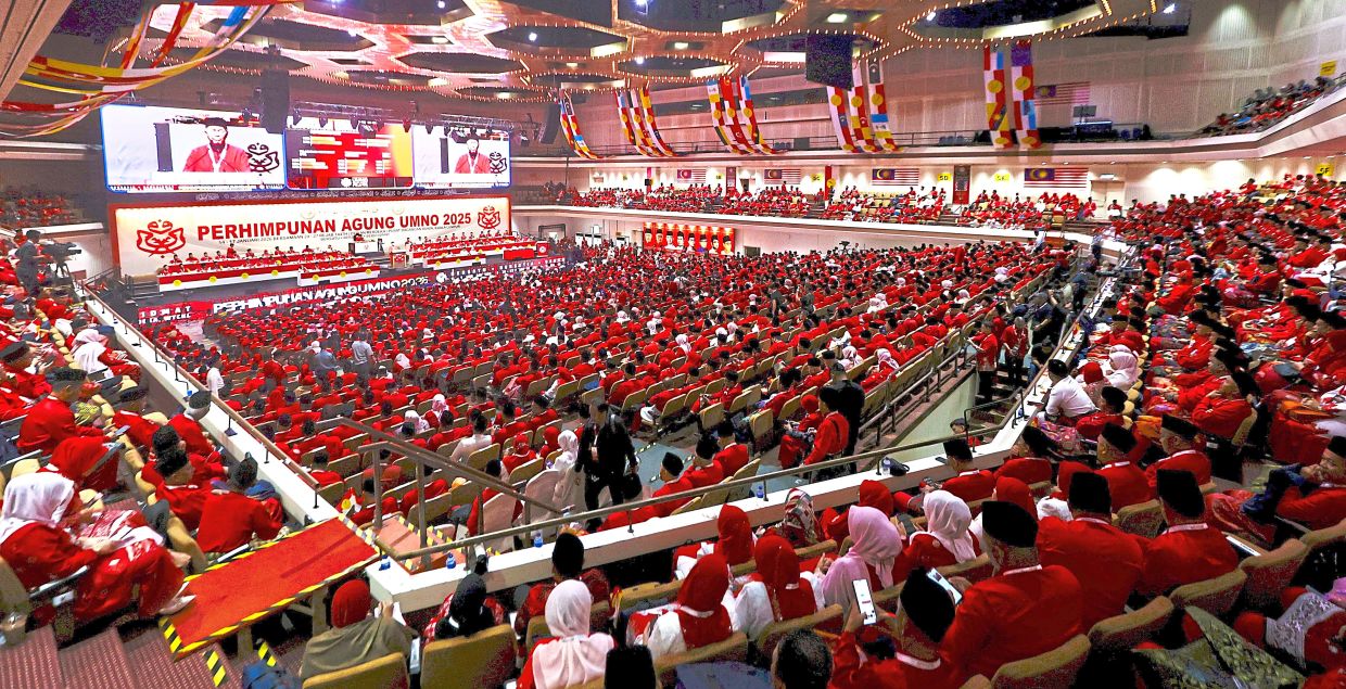 Development could erode majority status of constituencies, careful redelineation needed, says Penang Umno delegate