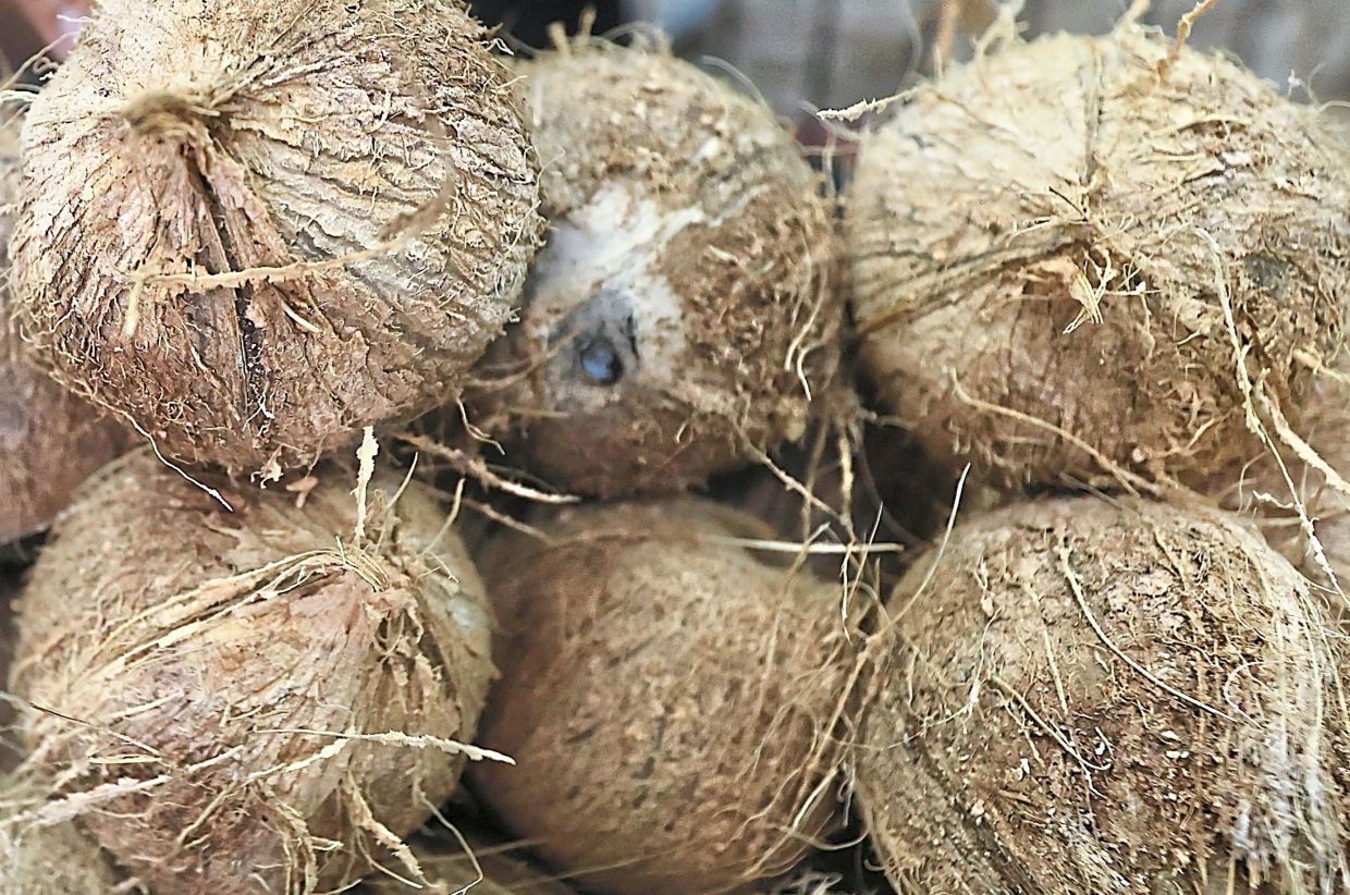 Devotees urged to break fewer coconuts for Thaipusam