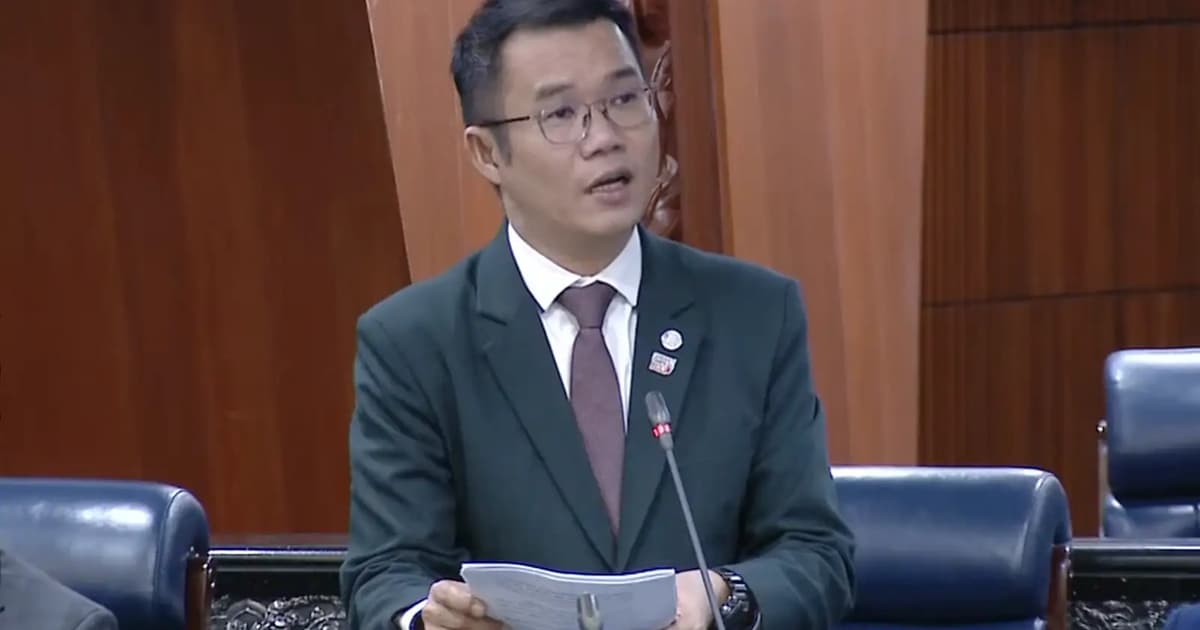 Digitalisation push may alienate old-school businesses, says MP