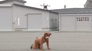 Dron Digunakan Untuk Mengelakkan Serangan Beruang Di Jepun