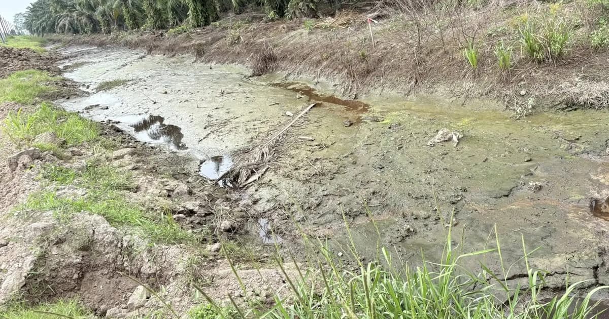 Environment dept to probe claim of pig waste pollution off Tanjung Sepat