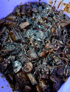 “I promise I’m not joining the bazaar,”