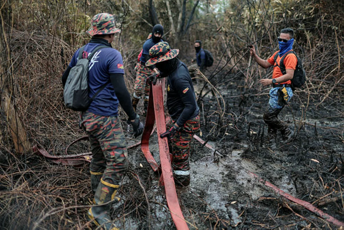 Johor peatland fire under control, smoke not reaching Singapore