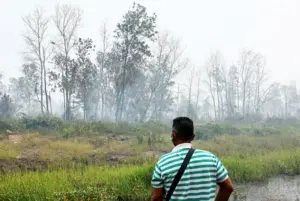 Kebakaran tanah gambut di Kota Tinggi mencecah 99.54 hektar