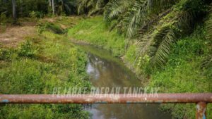 Kebocoran kolam kumbahan babi cemar sungai di Felda Sri Jaya