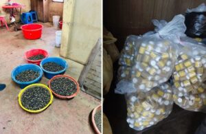 Kedah health department seize RM13.4mil in illegal Chinese health products