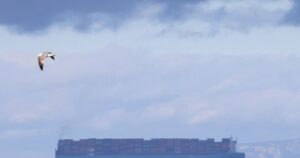 Maersk explores more ethanol use for green fuel to cut reliance on China