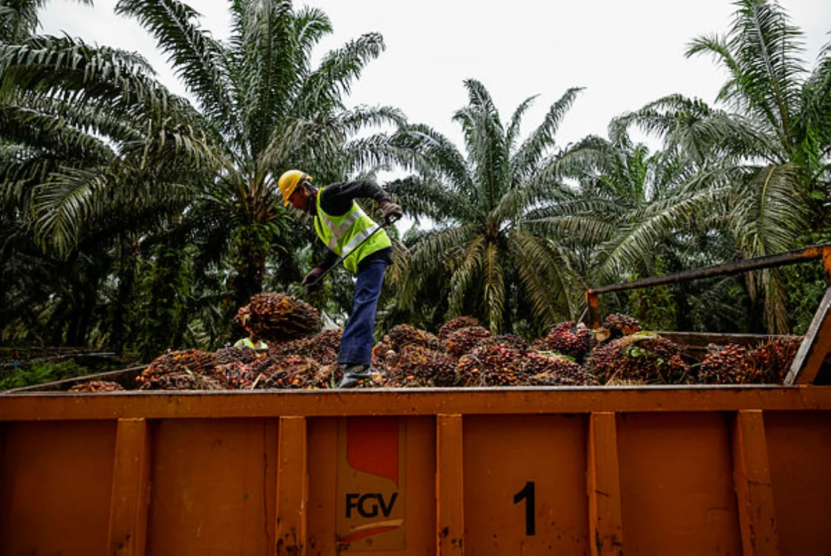 Malaysia tailors trade diplomacy to counter palm oil discrimination