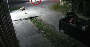 NGO lodges report after dog left badly wounded in Kepong