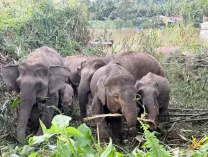 NRES commits to economic growth and environmental conservation