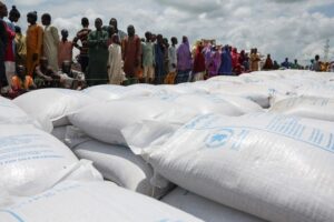 Nigeria's northeast faces worst hunger in a decade as aid cuts hit region, UN says