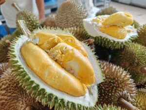 No clone issue here, Musang King cultivation well-regulated, says Penang govt