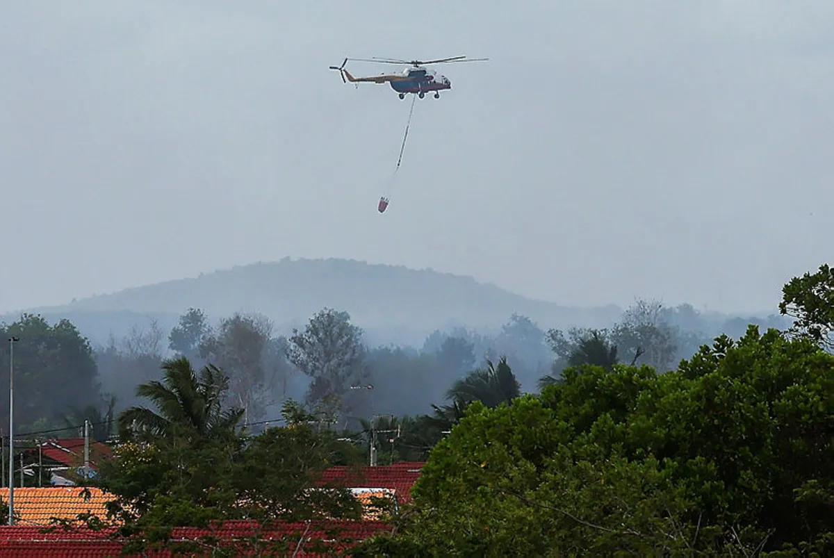 Peatland fire victims return home as Johor air quality improves