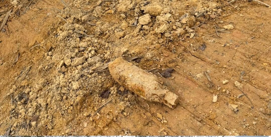 Pekerja terkejut bom sepanjang 58 cm di ladang sawit