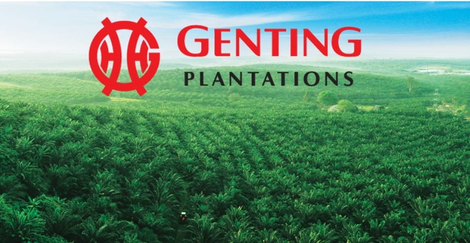 Penguatkuasa hutan Indonesia denda anak syarikat Genting Plantations RM96.6 juta