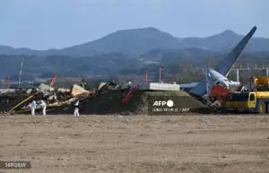 Runway barrier caused fatal South Korea plane crash, simulation finds