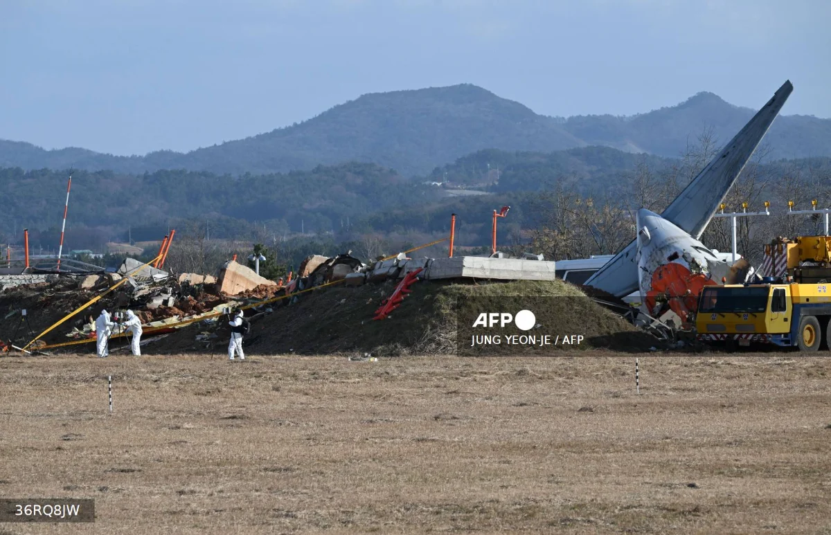 Runway barrier caused fatal South Korea plane crash, simulation finds