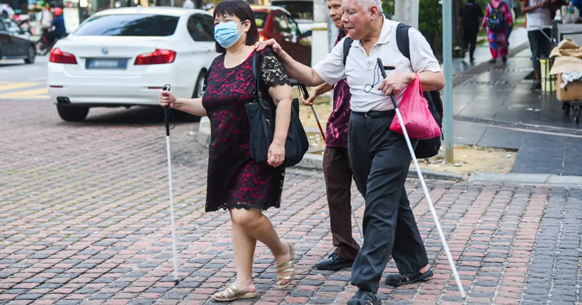 Set up panel to improve connectivity for disabled, Yeoh urged