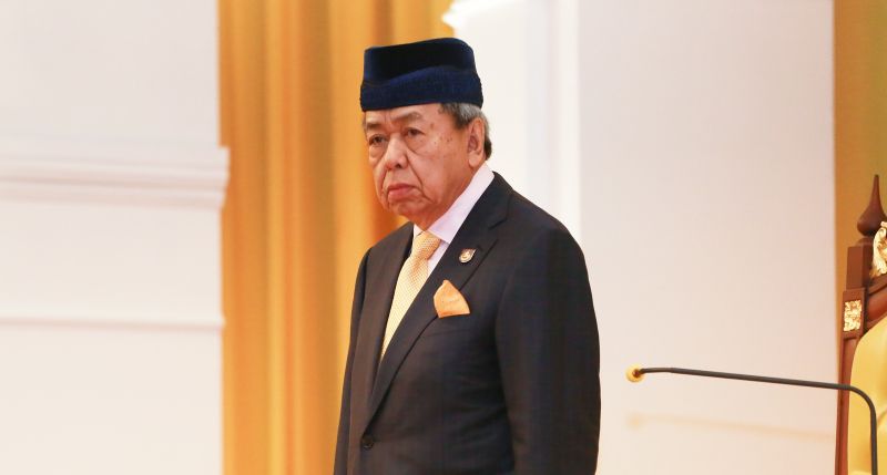 Sultan Selangor tidak setuju ternak babi berskala besar