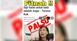 Teresa Kok lodges police report over fake article