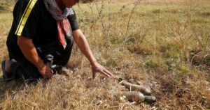 Thailand says Cambodia violated truce with cross-border 'accident'