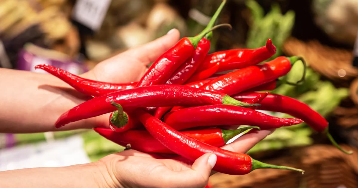 The spicy thread: how chilli binds a diverse nation together