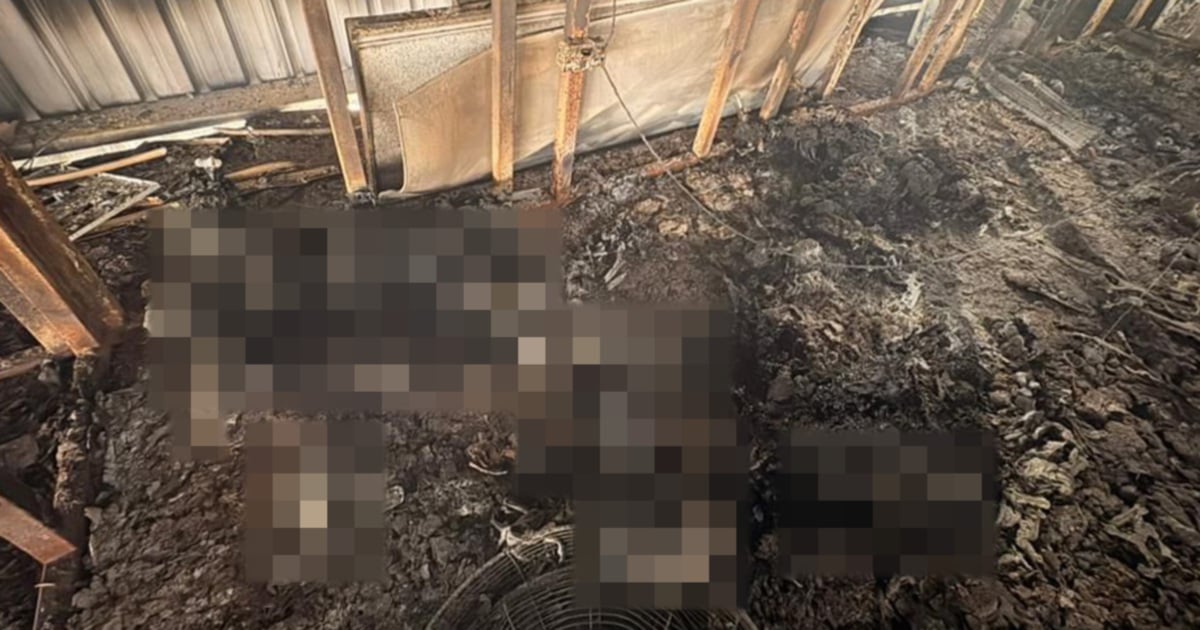 Three bodies found following Banting factory fires