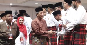 Tok Mat urges Umno members to back unity govt with constructive views