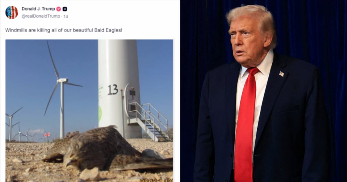 Trump gets wrong country, wrong bird in windmill rant