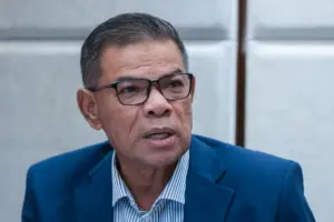UMNO's role crucial for unity government stability, says minister